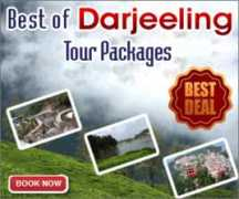 Darjee