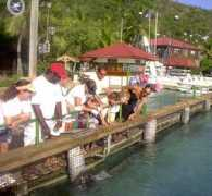 sailzora.com Darlane