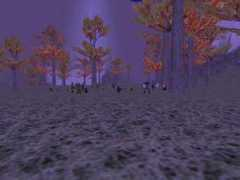 companyofvalor.org Darlea