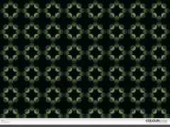 colourlovers.com Darli