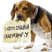crazyfamily.blog.cz Darlines