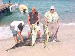 hotelbuenavista.com Darlinton