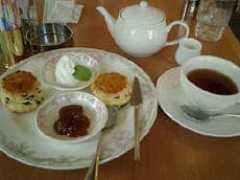 tea-for-life.net Darlinton