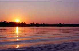 fineartamerica.com Darnall