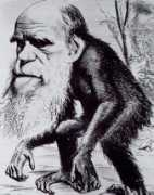 occultview.com Darwin