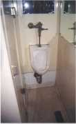 urinal.net Darwins