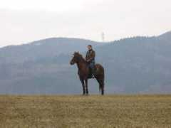 rudt.websnadno.cz Daryous