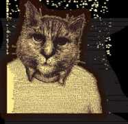 schless.net Dashiel