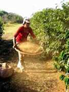 blog.kahoku.co.jp Daterra