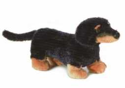 critterblessings.com Datson
