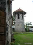 Dauis