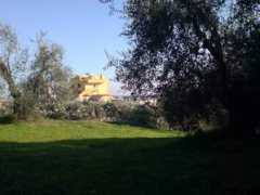 panoramio.com Davanti