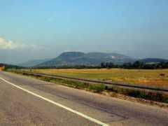 Davidovac