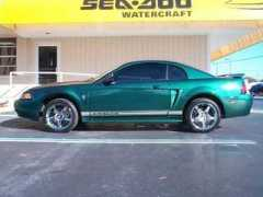 mustangworld.com Davidsn