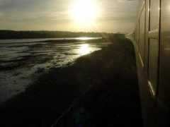 Dawish