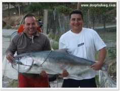deepfishing.com Dayanir