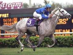 jockeysite.com Daylami