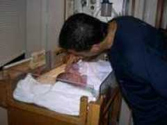 lzangel.com Daylana