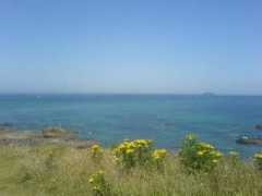 Daymer