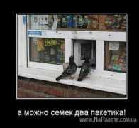 narabote.com.ua Dayte