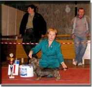 grand-amity.cz Dayva