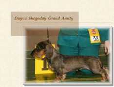 grand-amity.cz Dayva