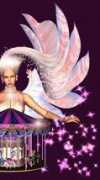 spiritisup.com Dbright