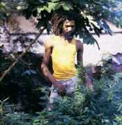 reggae-vibes.com Dcarlos