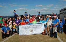 dreamcatcherhorses.com Dchr