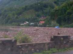 gandul.info Deaconeasa