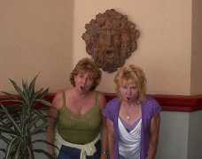 Debdi