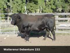 waiterenui.co.nz Debenture