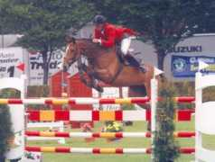 eurosporthorse.co.uk Decoded