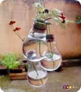 Decoracao