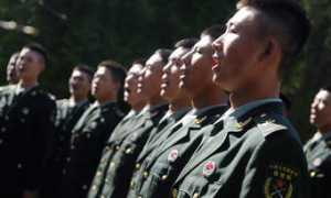 globaltimes.cn Dedac
