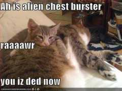 Dedded