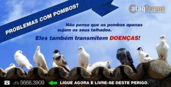hidromarte.com.br Dedetizadora