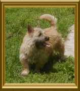 mall.cairnrescue.com Deekan