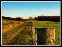Deffer