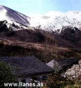 Degana