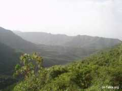 Degoma