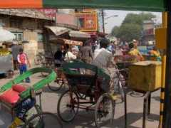 fuzzytravel.com Dehli
