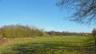 loegiesen.nl Dehout