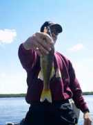 jimsnorthwoodsguideservice.com Deinard