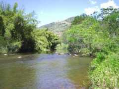 riopreto-mg.com Dejanir