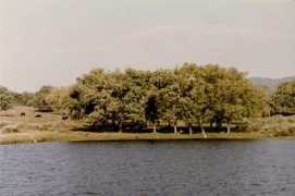 Dejesa