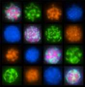 artofscience.caltech.edu Dekas