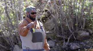 denverpost.com Dekoda