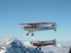 supercub.org Dekol