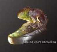 anticart.net Delaris
